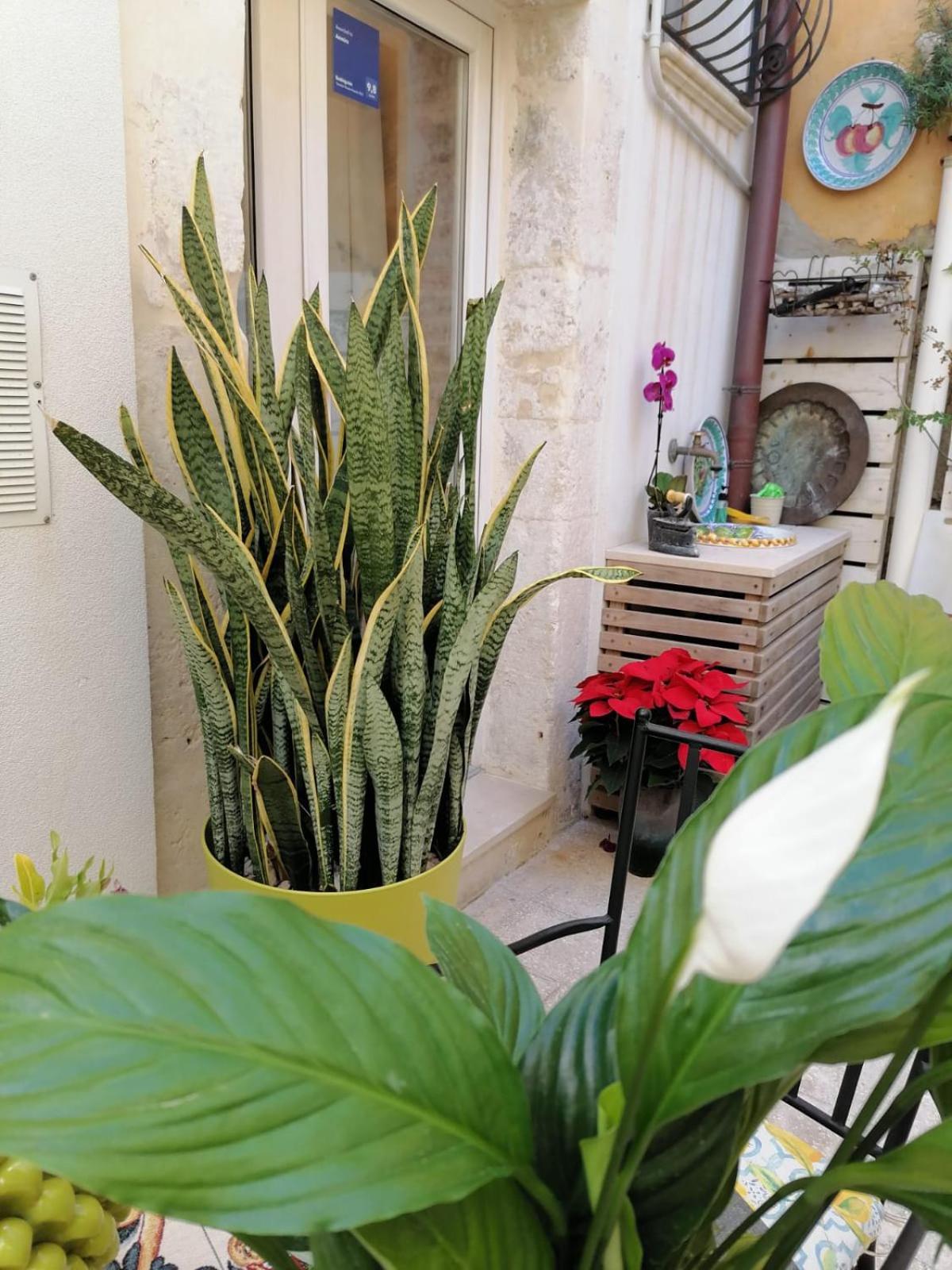 シラクーサAmmiraアパートメント 部屋 写真